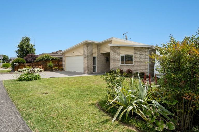 Photo of property in 3 Ihimaera Terrace, Leamington, Cambridge, 3432