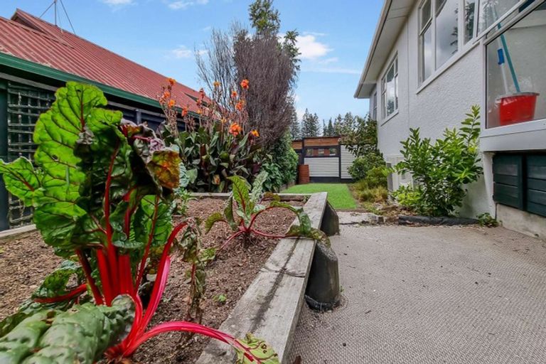 Photo of property in 23 Shirley Street, Mangakakahi, Rotorua, 3015