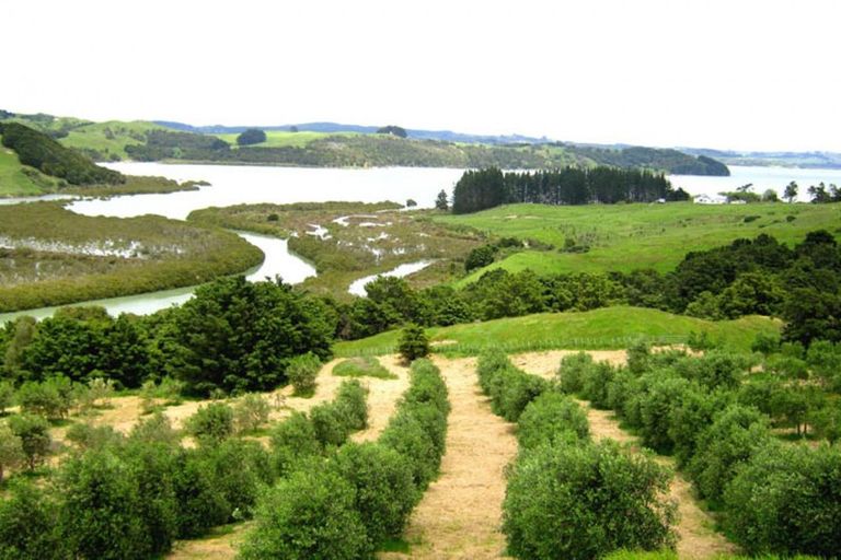 Photo of property in 241d Heatley Road, Whakapirau, Maungaturoto, 0583