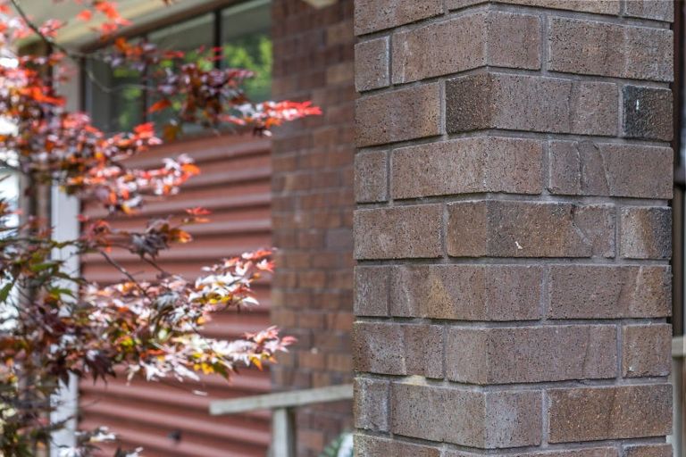 Photo of property in 12 Jasmine Avenue, Dinsdale, Hamilton, 3204