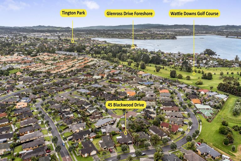 Photo of property in 45 Blackwood Drive, Wattle Downs, Auckland, 2103