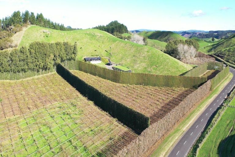 Photo of property in 809 Pikowai Road, Pikowai, Whakatane, 3194