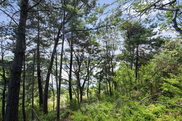 Photo of property in 124 Port Underwood Road, Waikawa, Picton, 7281