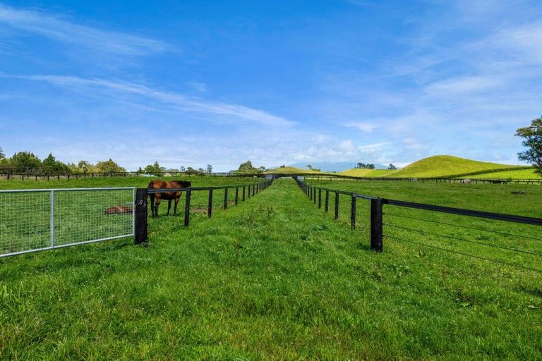 Photo of property in 157 Norfolk Road, Norfolk, Inglewood, 4388