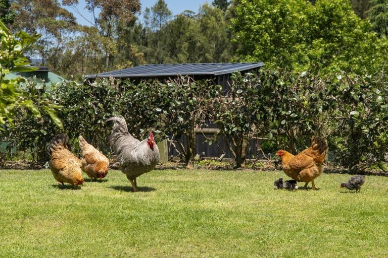 Photo of property in 4a Thorn Road, Lower Kaimai, Tauranga, 3171