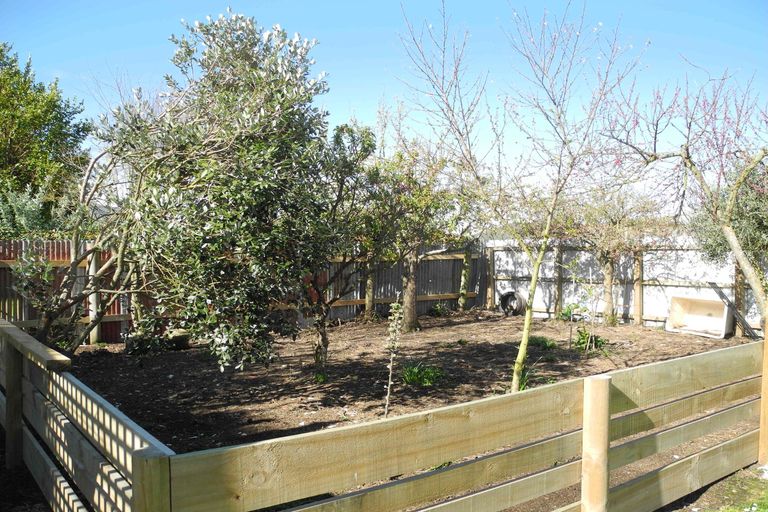 Photo of property in 3 Harris Street, Waimate, 7924