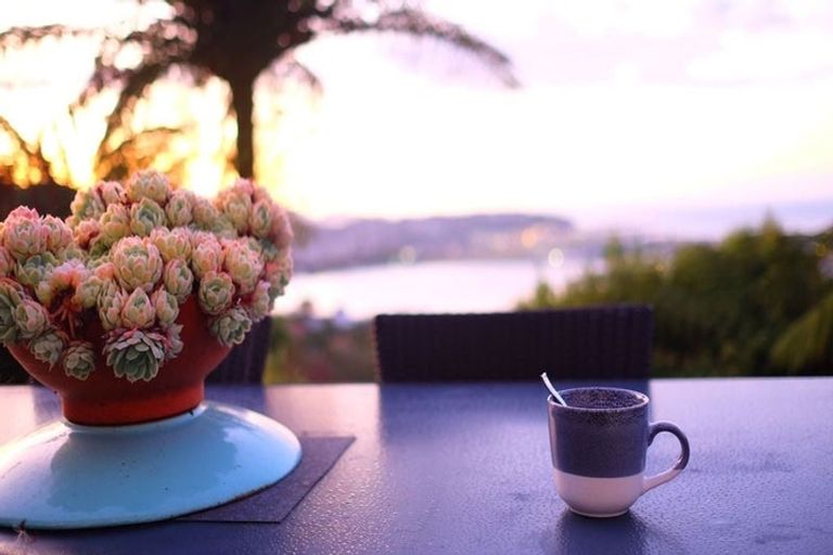 Photo of property in 25 Alexandra Road, Roseneath, Wellington, 6021