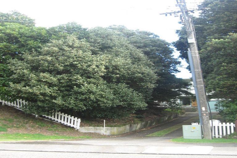 Photo of property in 89 Wellington Road, Paekakariki, 5034