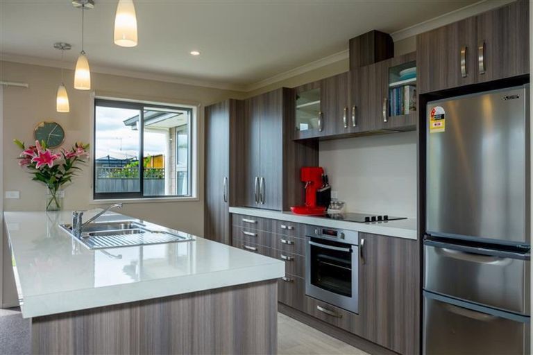 Photo of property in 13 Kirk Street, Renwick, 7204