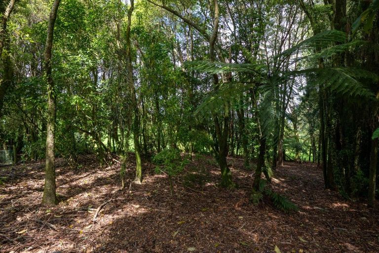 Photo of property in 186 Tauranga Direct Road, Hamurana, Rotorua, 3096