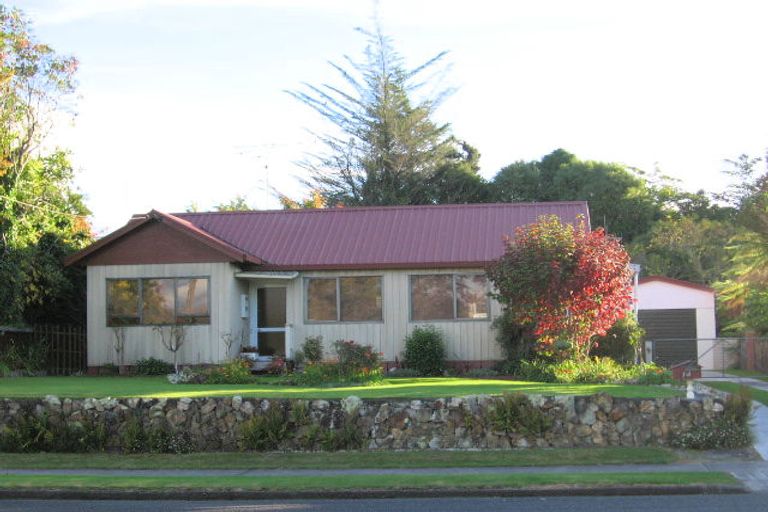 Photo of property in 14 Papanui Street, Tokoroa, 3420