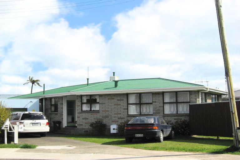 Photo of property in 12 Tunui Place, Whakatane, 3120