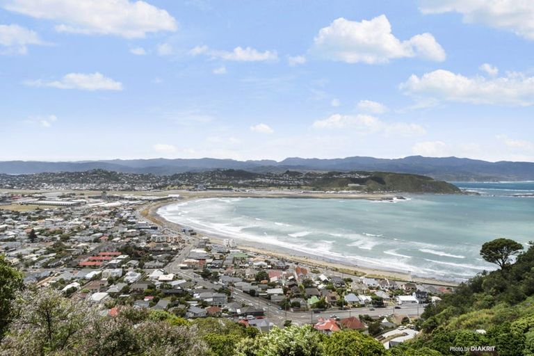 Photo of property in 105 Hornsey Road, Melrose, Wellington, 6023