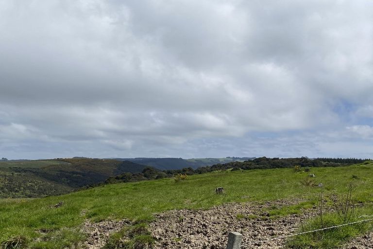 Photo of property in 19 Hamilton Street, East Gore, Gore, 9710