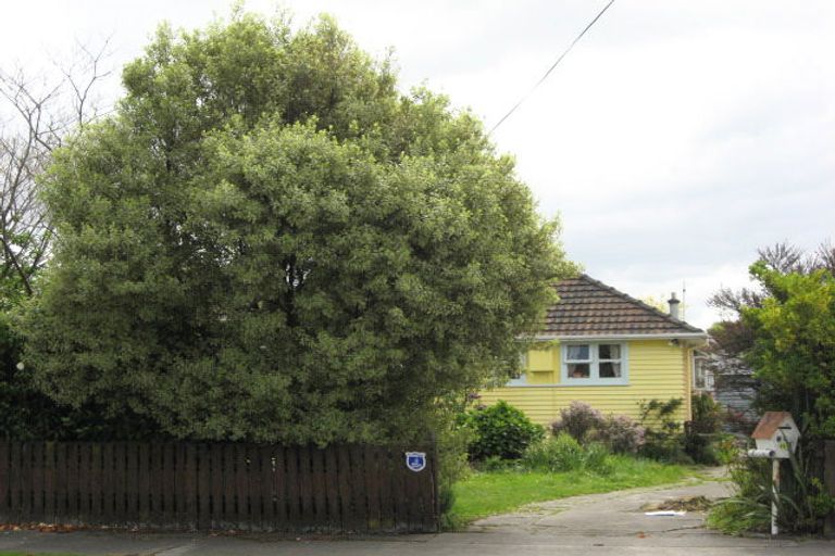 Photo of property in 51 Girling Avenue, Mayfield, Blenheim, 7201
