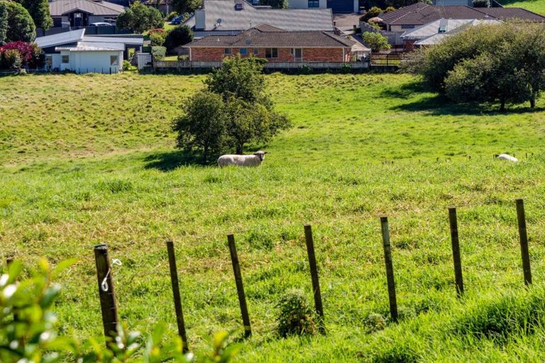 Photo of property in 226c Cambridge Road, Bethlehem, Tauranga, 3110