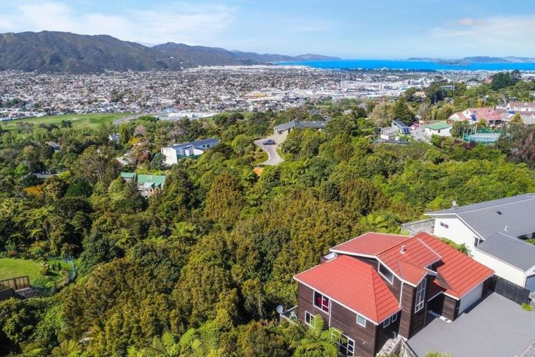 Photo of property in 53 Redvers Drive, Belmont, Lower Hutt, 5010