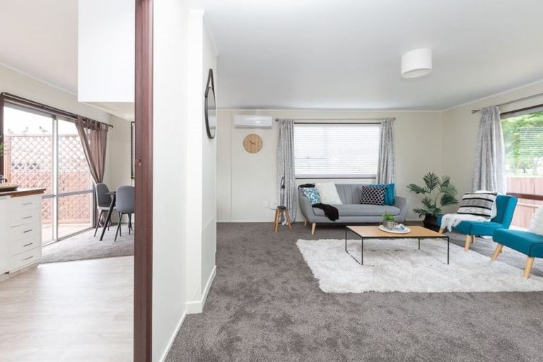 Photo of property in 392 Kahikatea Drive, Dinsdale, Hamilton, 3204