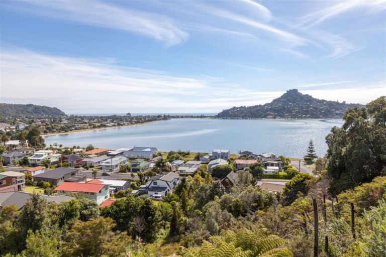 Photo of property in 10 Pine Grove, Tairua, 3508