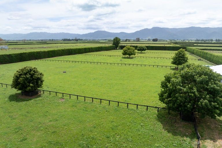 Photo of property in 1503 Alexandra Road, Waharoa, 3474