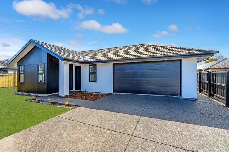 Photo of property in 8b Kildare Street, Belfast, Christchurch, 8051