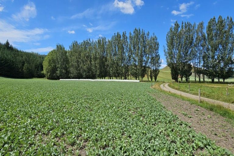 Photo of property in Porters Access Road, Kaeo, 0478
