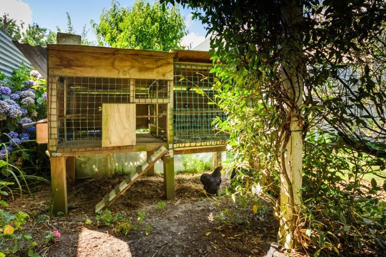 Photo of property in 2 Escort Grove, Awapuni, Palmerston North, 4412