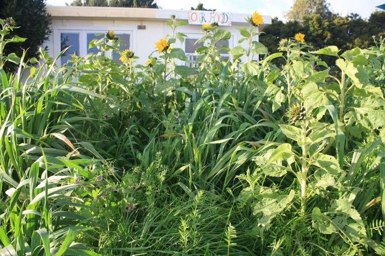 Photo of property in 169 Te Toiroa Road, Ngunguru, Whangarei, 0173