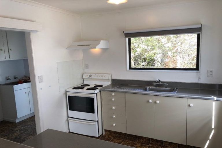 Photo of property in 99c Nixon Street, Hamilton East, Hamilton, 3216