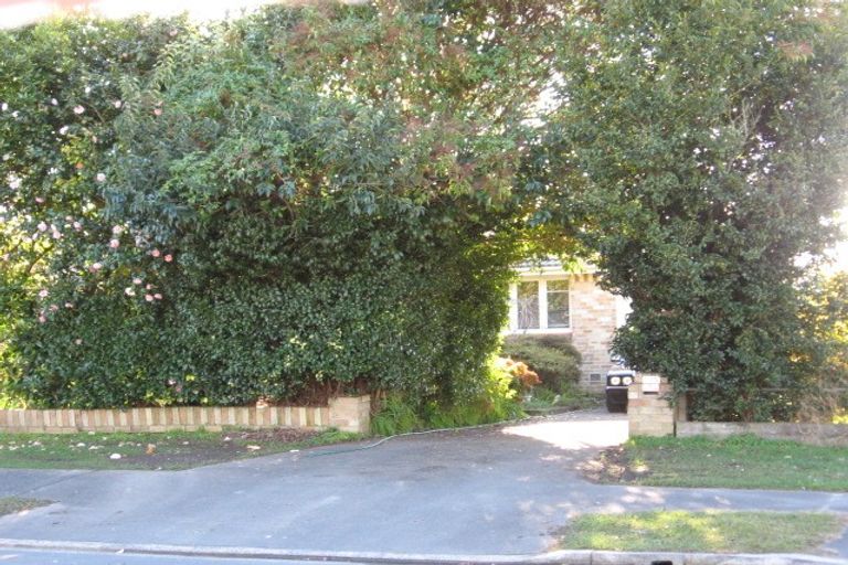 Photo of property in 115 Mardon Road, Enderley, Hamilton, 3214