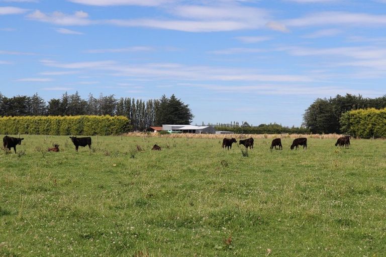 Photo of property in 115 Winton Substation Road, Winton, 9783