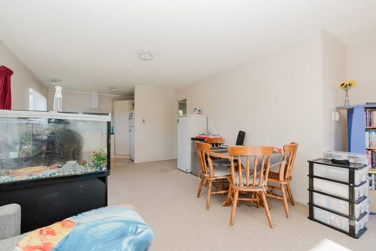 Photo of property in 10a Griffiths Place, Claudelands, Hamilton, 3214