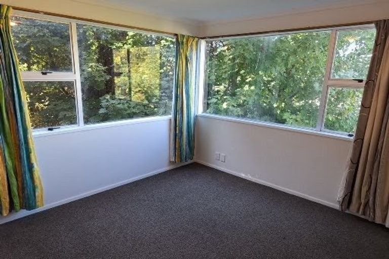 Photo of property in 183 Dundas Street, North Dunedin, Dunedin, 9016