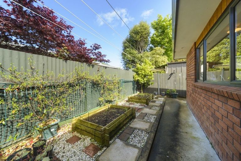 Photo of property in 87 Mcgregor Street, Milson, Palmerston North, 4414