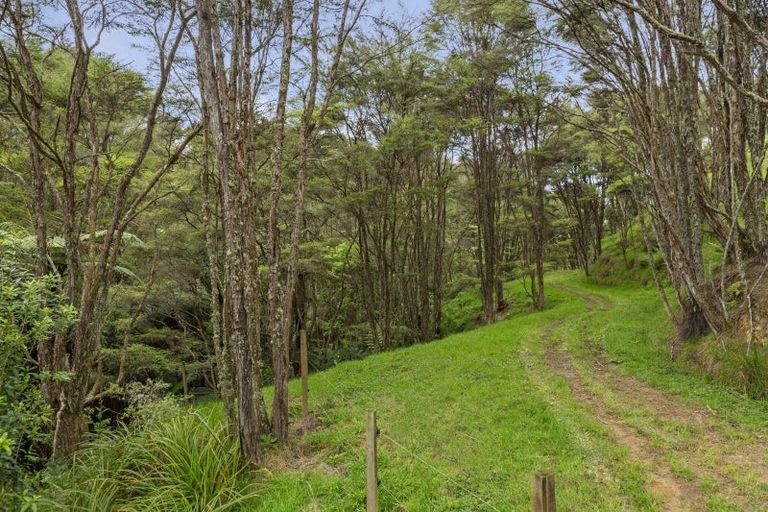 Photo of property in 168 Te Puroa Road, Ngaruawahia, 3793