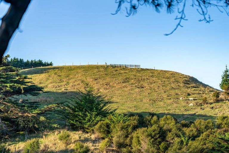 Photo of property in 105a Bradey Road, Pauatahanui, Porirua, 5381