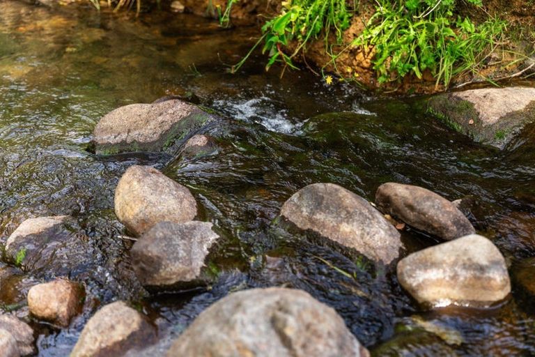 Photo of property in 200 Corbett Road, Waihi, 3681