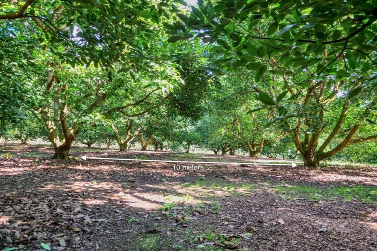 Photo of property in 50 Wright Road, Dairy Flat, Albany, 0794