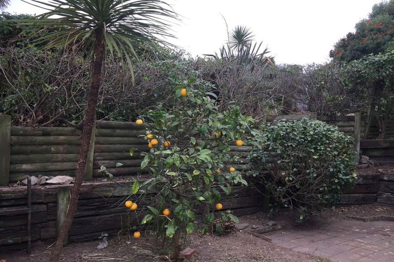 Photo of property in 19 Napier Grove, Waikanae Beach, Waikanae, 5036