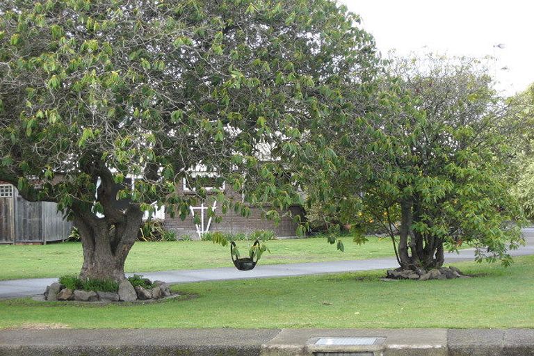 Photo of property in 808 Pepper Street, Raureka, Hastings, 4120