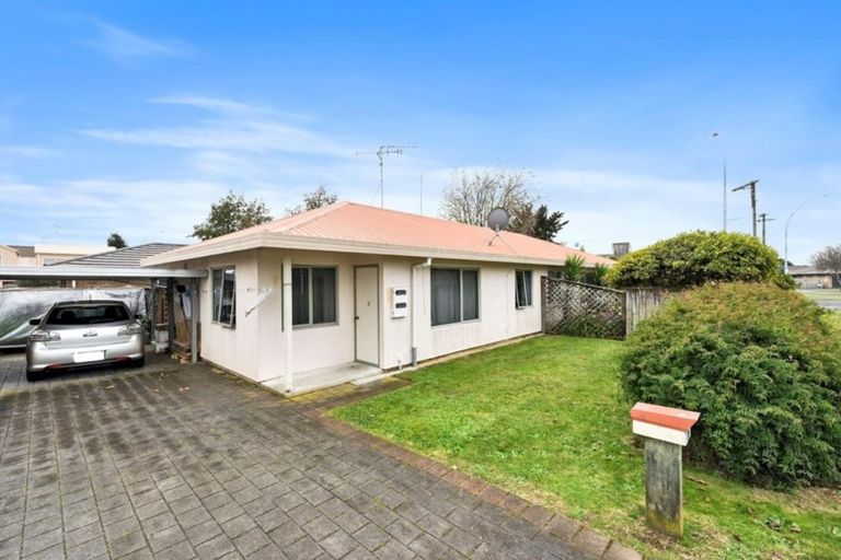 Photo of property in 36 Campbell Street, Havelock North, 4130