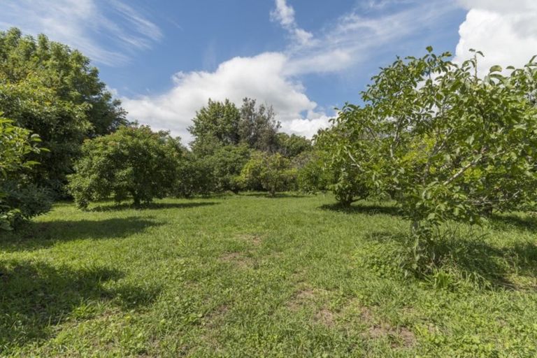 Photo of property in 118a Prole Road, Omokoroa, Tauranga, 3172