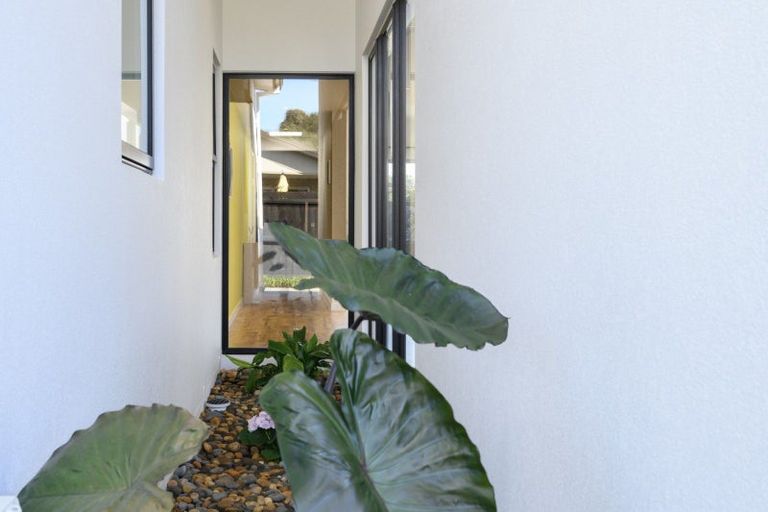 Photo of property in 12 Jacob Street, Brookfield, Tauranga, 3110
