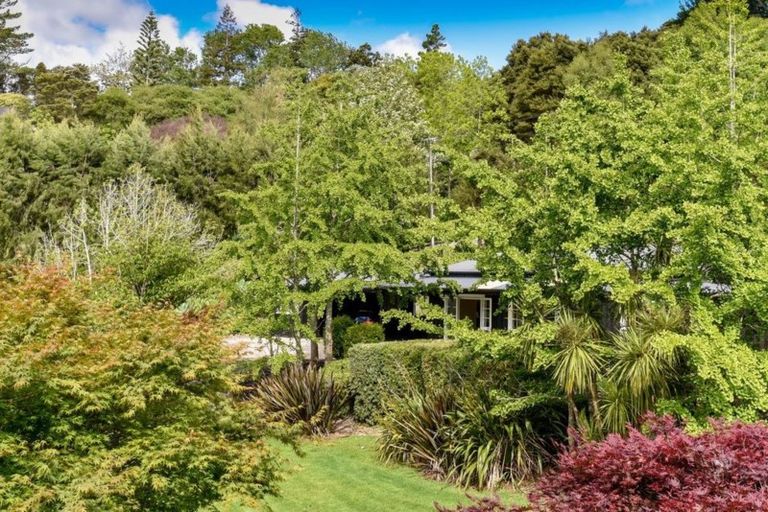 Photo of property in 62 Potter Road, Dairy Flat, Albany, 0792