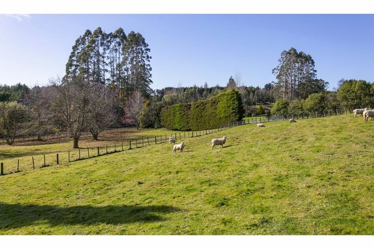 Photo of property in 8 Mark Wynd, Maunganamu, Taupo, 3379