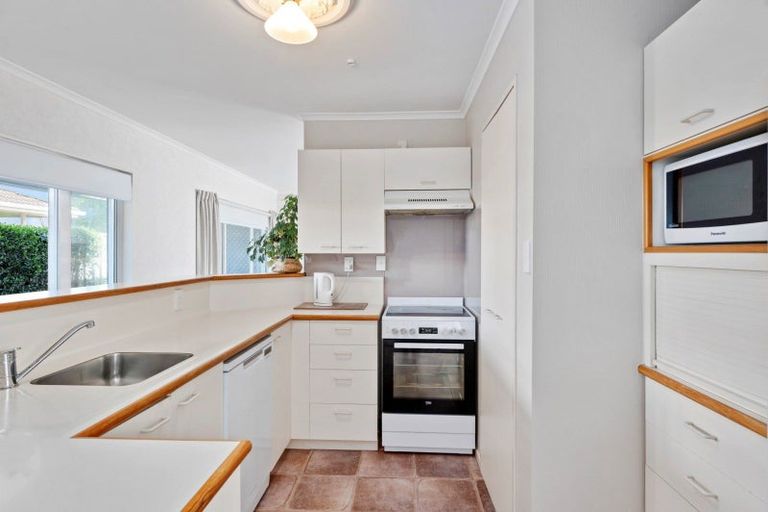 Photo of property in 36a Malfroy Road, Victoria, Rotorua, 3010