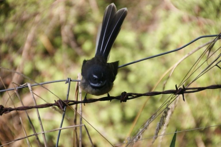 Photo of property in 275 Wainui Valley Road, Wainui, Akaroa, 7582