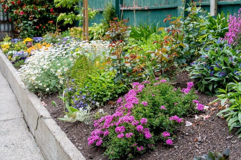 Photo of property in 14 Tweed Street, Kinmont Park, Mosgiel, 9024