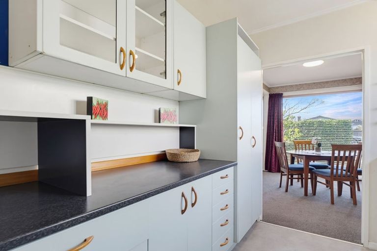 Photo of property in 59 Weston Avenue, Roslyn, Palmerston North, 4414
