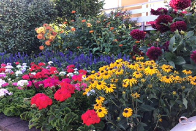 Photo of property in 63 Birch Street, Hilltop, Taupo, 3330